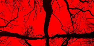 Trailer: Blair Witch Project 2016