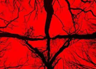 Trailer: Blair Witch Project 2016
