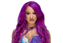INTERVIEW:WWE SUPERSTAR SASHA BANKS