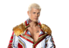 CODY RHODES ELIMIMNATION CHAMBER PROFILE