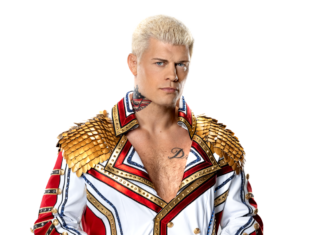 CODY RHODES ELIMIMNATION CHAMBER PROFILE