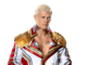 CODY RHODES ELIMIMNATION CHAMBER PROFILE